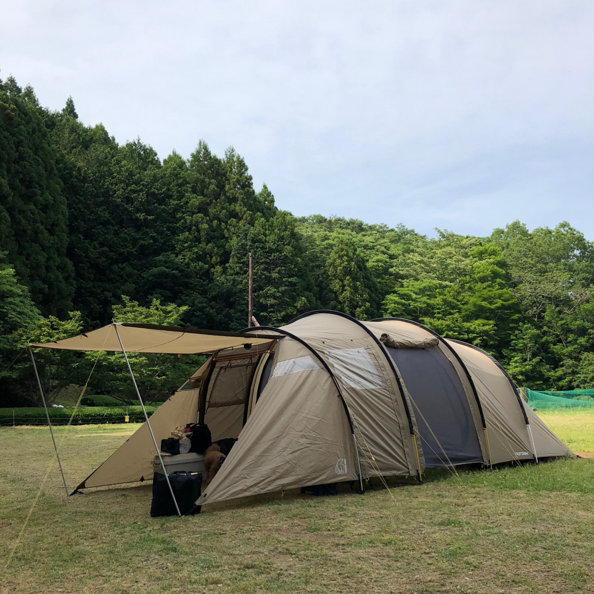 ファミリーキャンプのお供に 山岳系テント Msr エリクサー4 という提案 Yagai ヤガイ 外遊びをみんなで楽しく